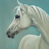 A Timeless White Horse Portrait in Serene Blue