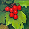 Vibrant Red Berries On Green Leaves Original oil painting